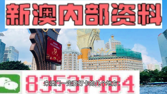 2024年新澳门王中王免费,富强解释解析落实