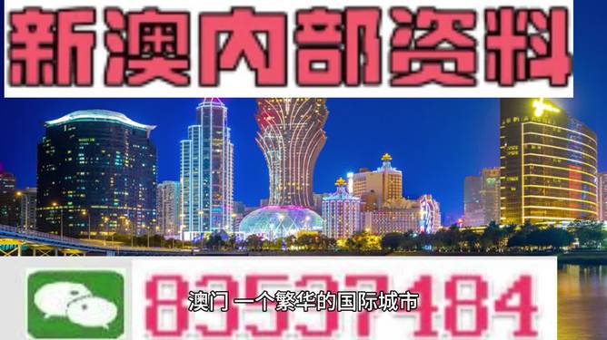 2024新澳精准资料,精选解释解析落实