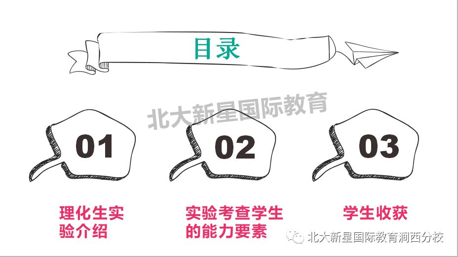 妖精食肆最新动态与深度解析